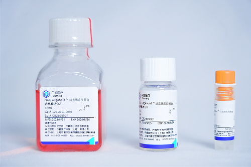 NGC Organoid®结直肠癌类器官培养试剂盒