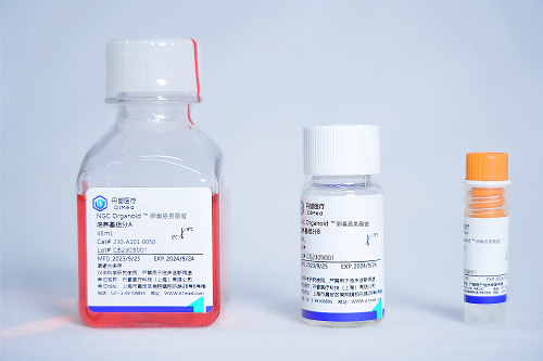 NGC Organoid®卵巢癌类器官培养试剂盒
