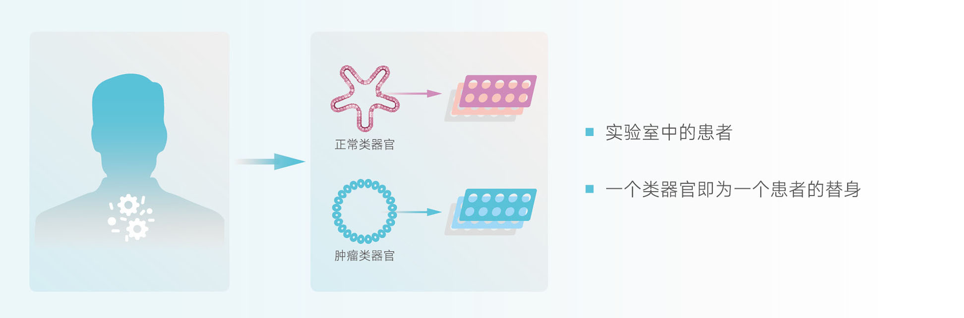 小分子-1.jpg