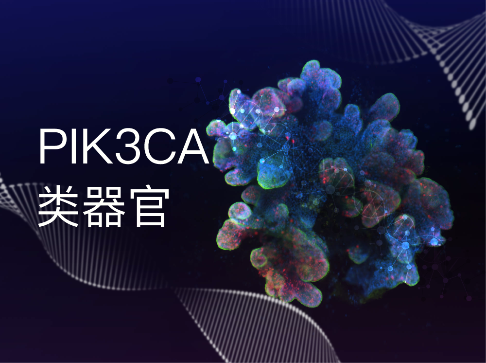 丹望医疗PIK3CA类器官库