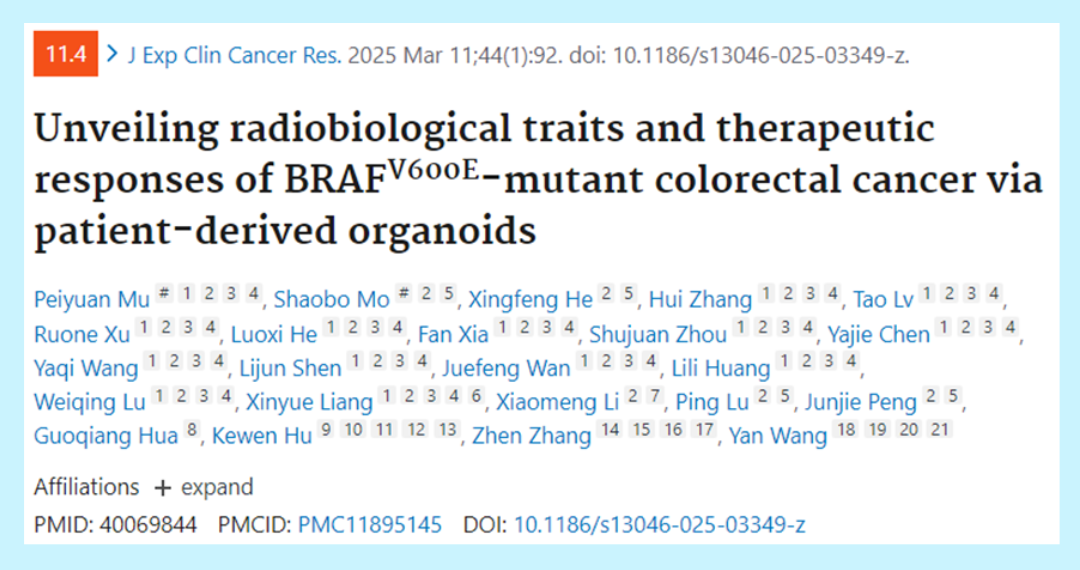 BRAF V600E对结直肠癌放射治疗敏感性的影响，及联合放化疗机制