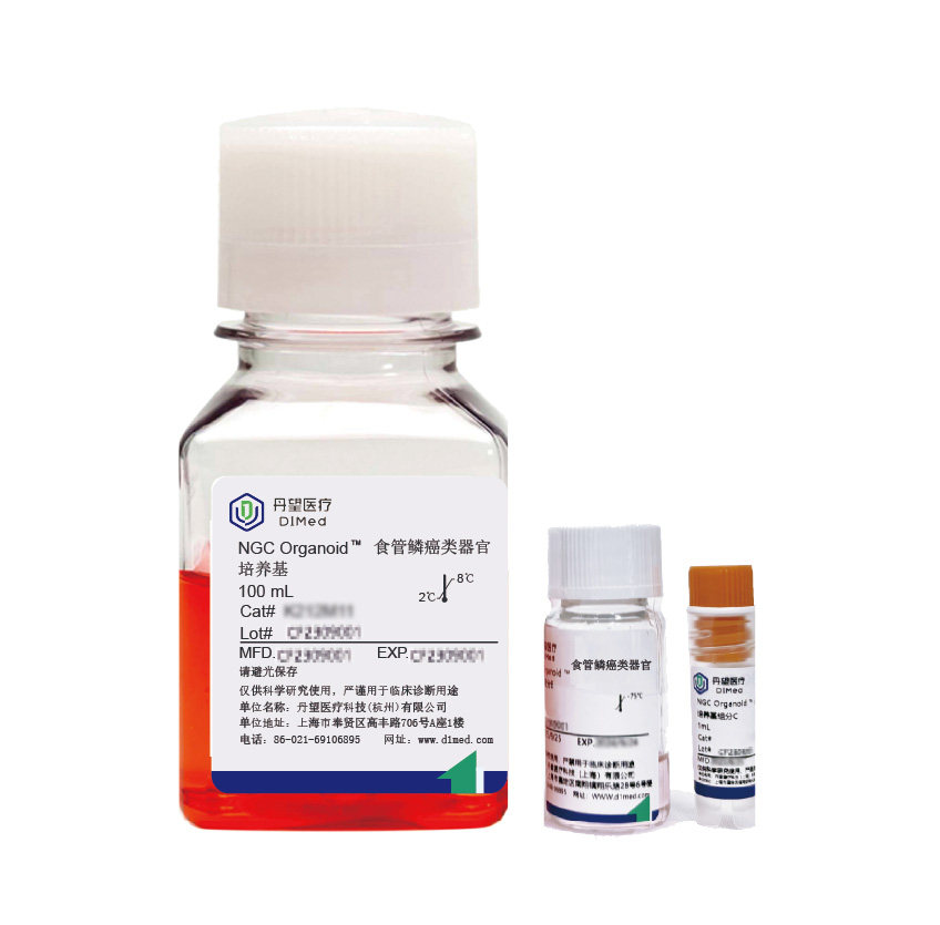 NGC Organoid®食管鳞癌类器官培养基
