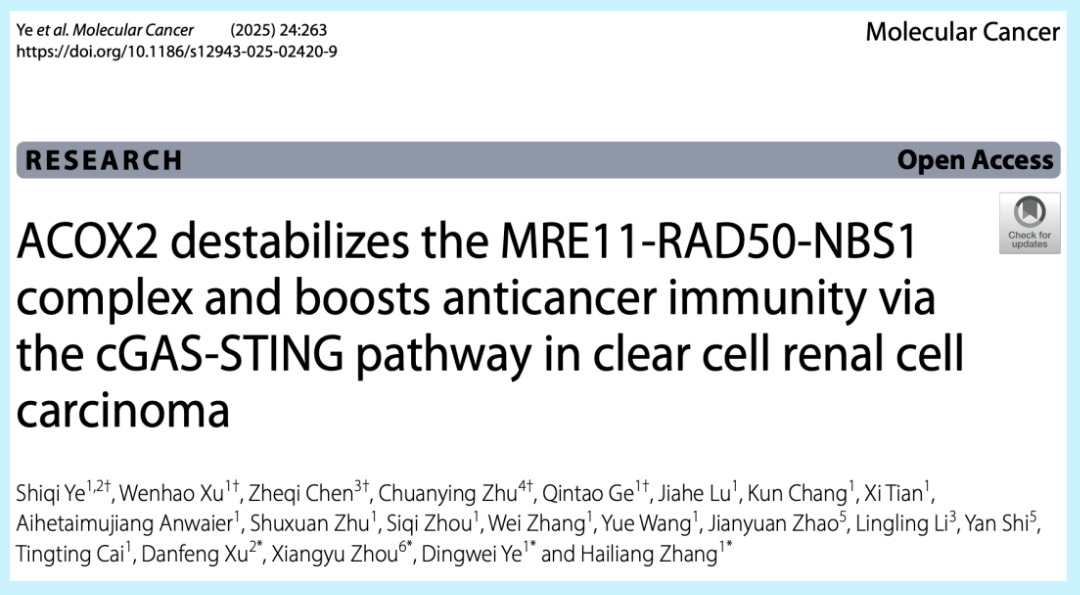 ACOX2抑制MRN复合体稳定性并通过激活cGAS-STING通路促进肾癌抗肿瘤免疫