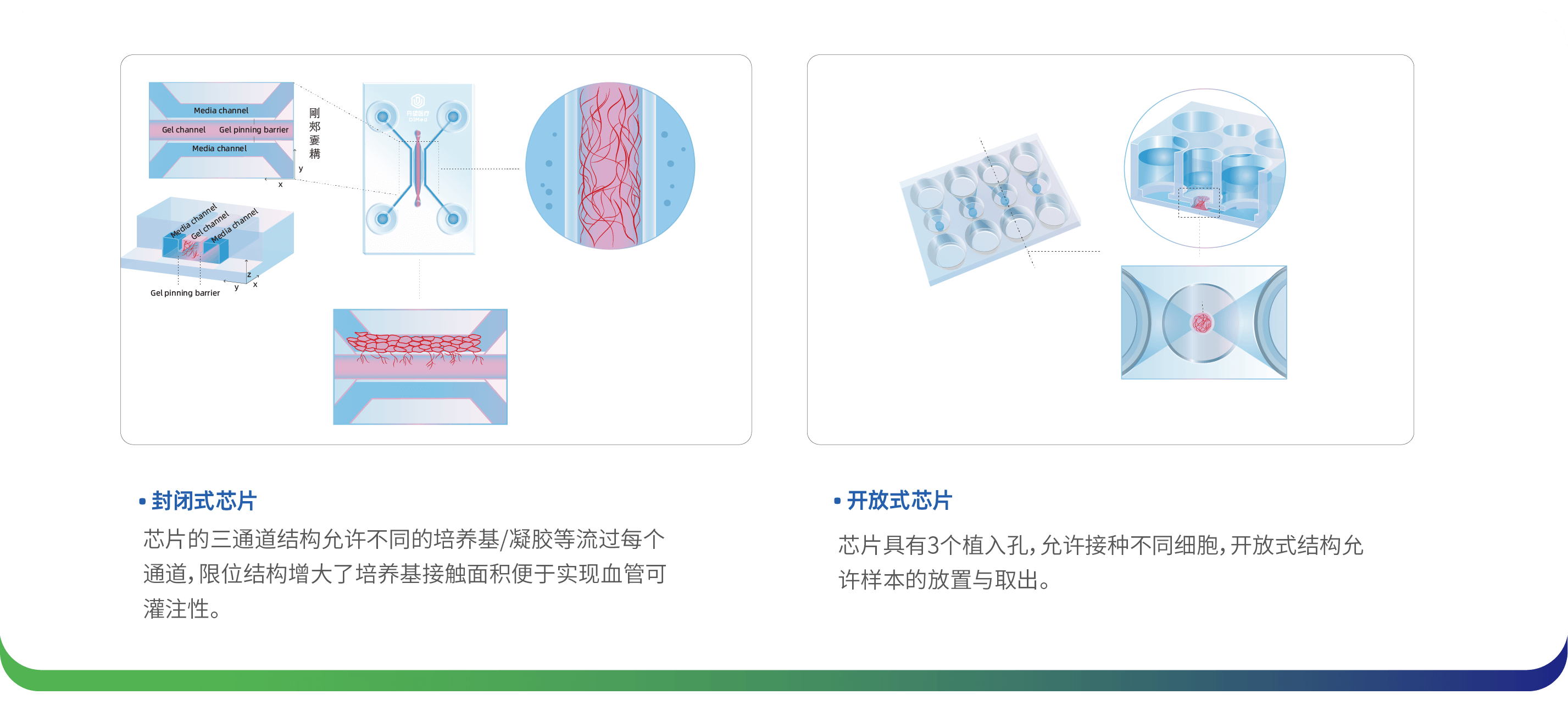 血管芯片-01-png.png