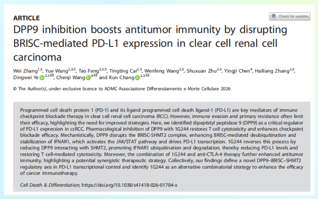 Cell Death & Differentiation | DPP9抑制增强透明细胞肾癌抗肿瘤免疫，揭示PD-L1上游调控新机制