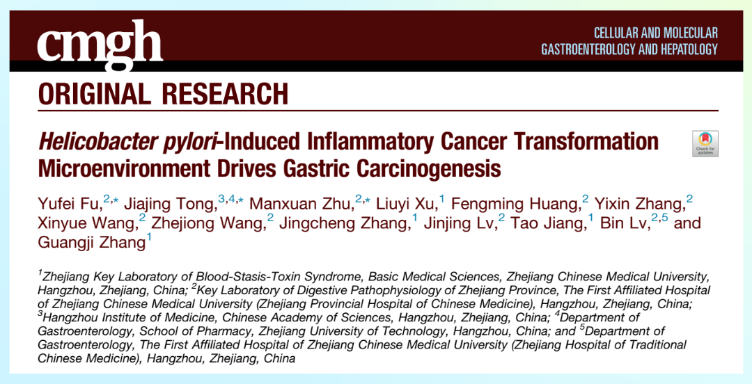 根除幽门螺杆菌后仍存在促癌微环境——iCAF驱动胃癌发生